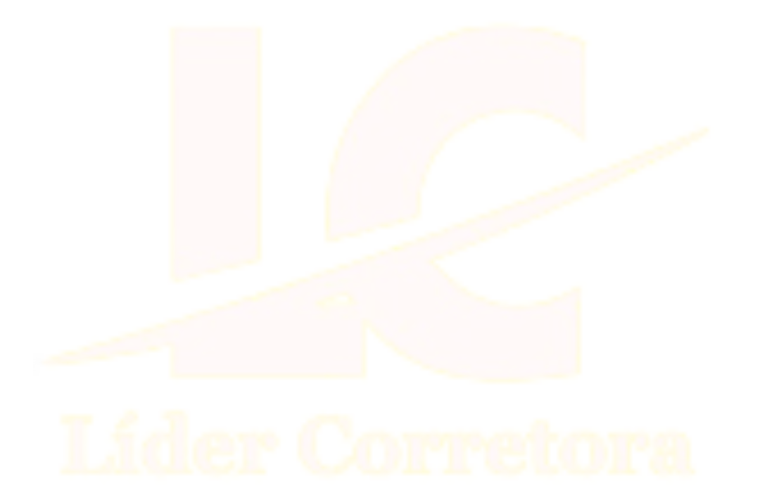 Lider Corretora Brasil